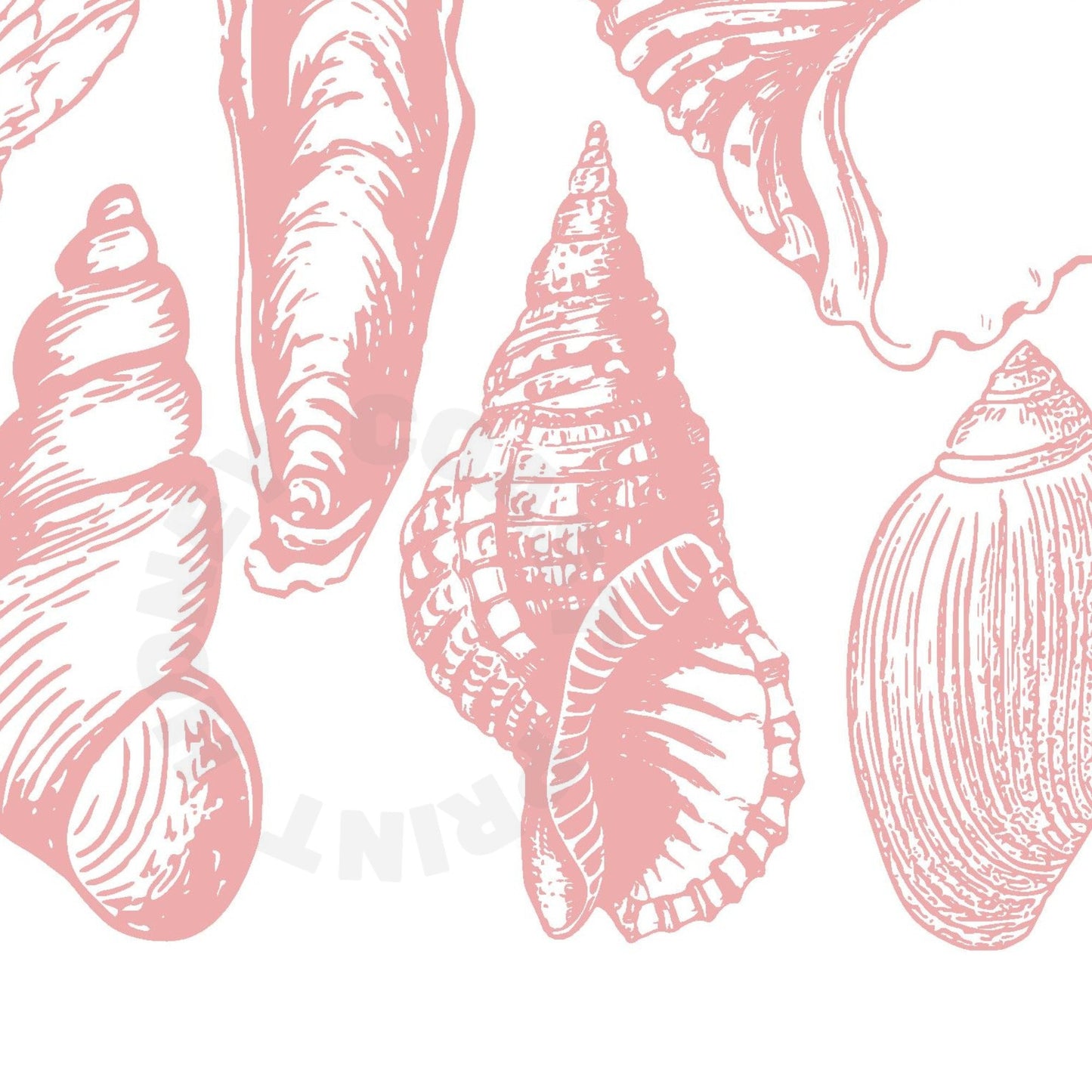 Landscape Pink Seashells Digital Prints