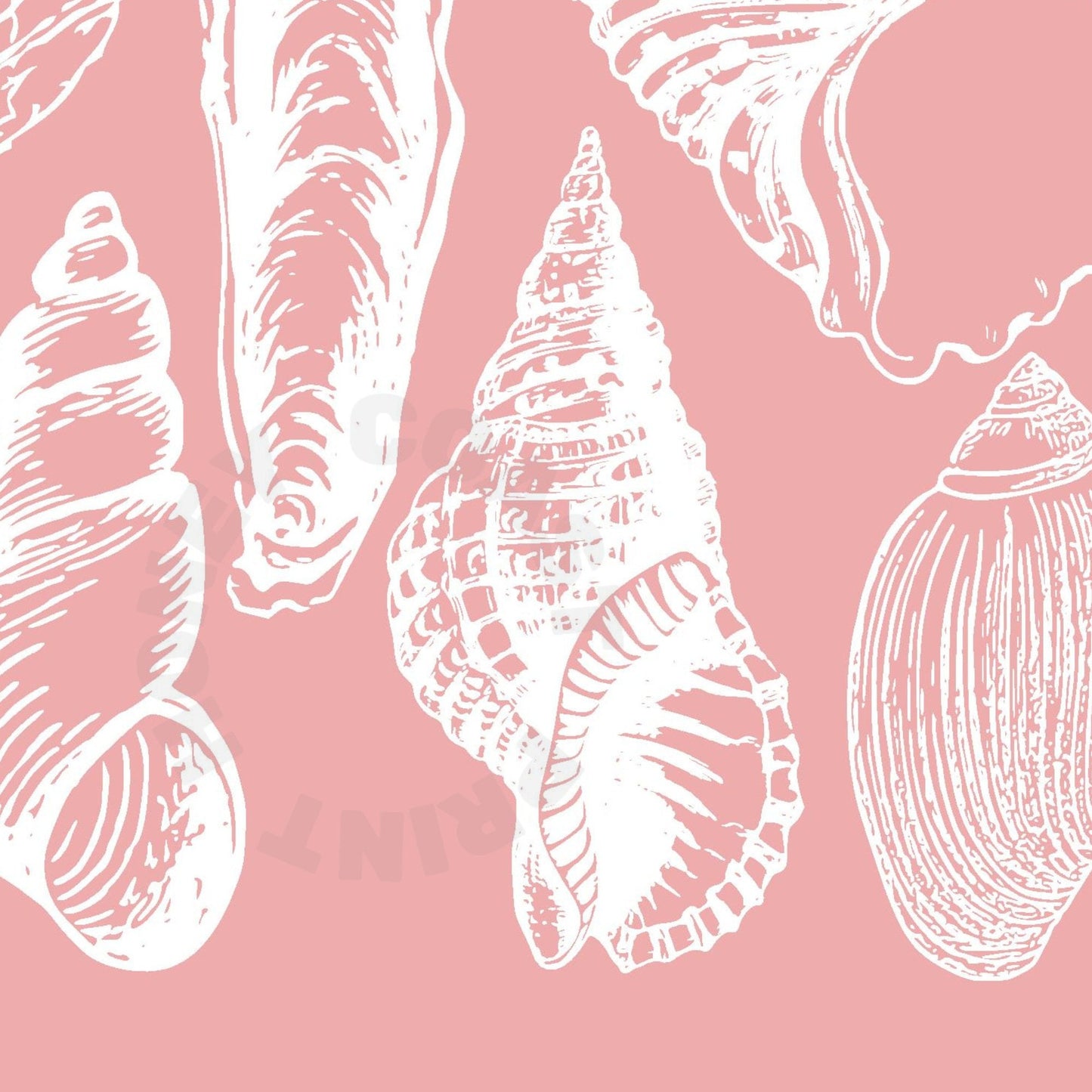 Landscape Pink Seashells Digital Prints