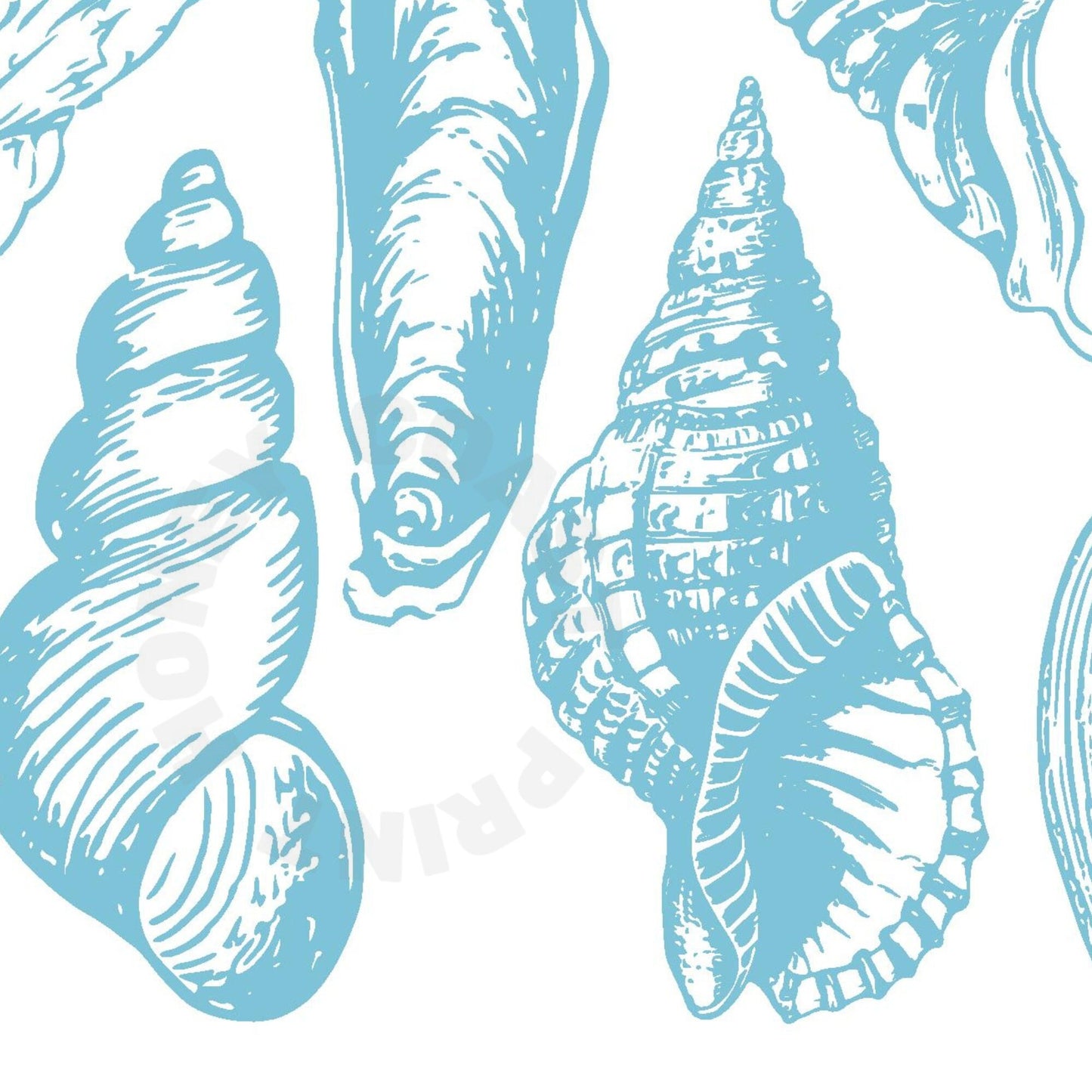 Landscape Surf Blue Seashells Digital Prints