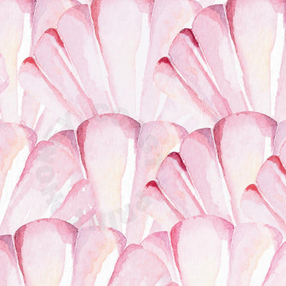 Pink Seashells Digital Prints