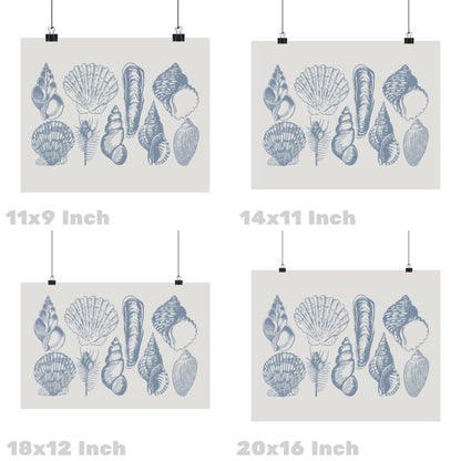 Landscape Coastal Blue Seashells Poster