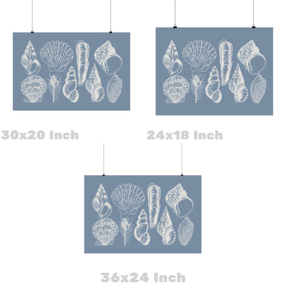 Landscape Coastal Blue Seashells Poster
