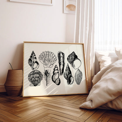 Landscape Monotone Seashells Poster