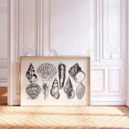 Landscape Monotone Seashells Poster