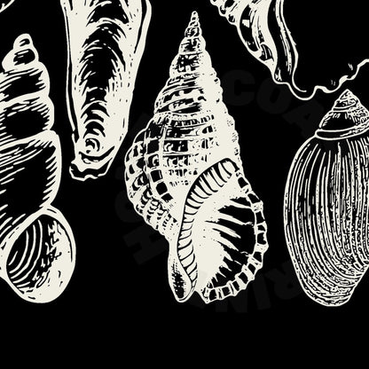 Landscape Monotone Seashells Poster