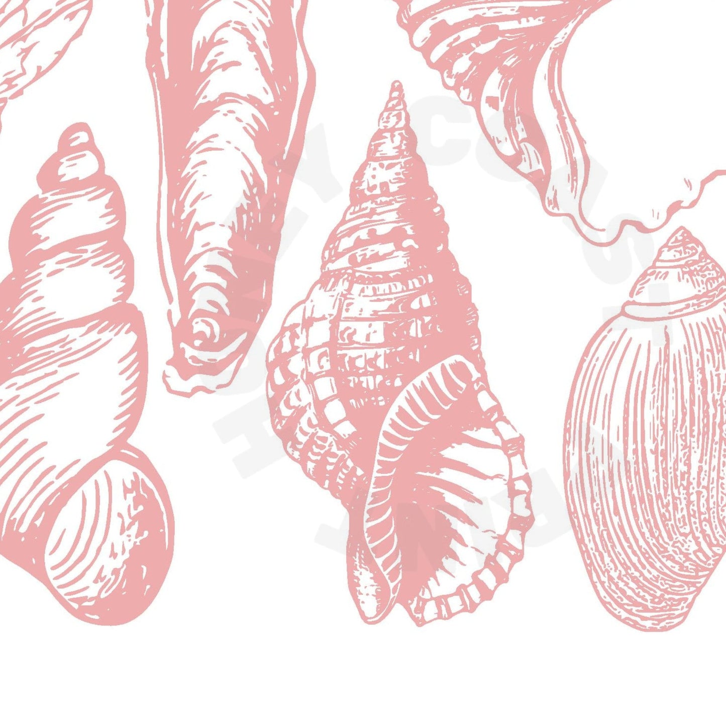 Landscape Pink Seashells Poster