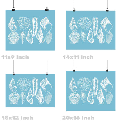 Landscape Surf Blue Seashells Poster