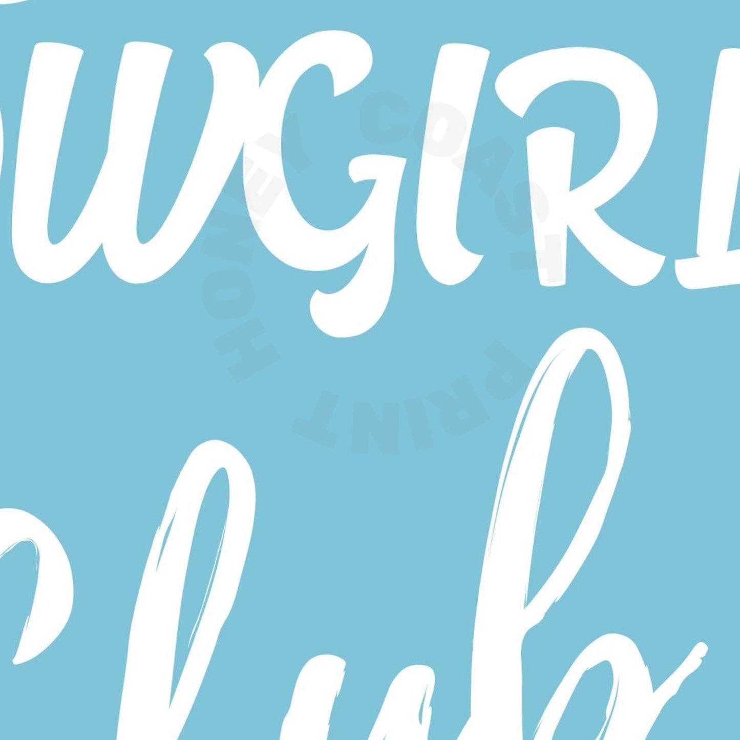 Surf Blue Anti Social Cowgirl Club Poster