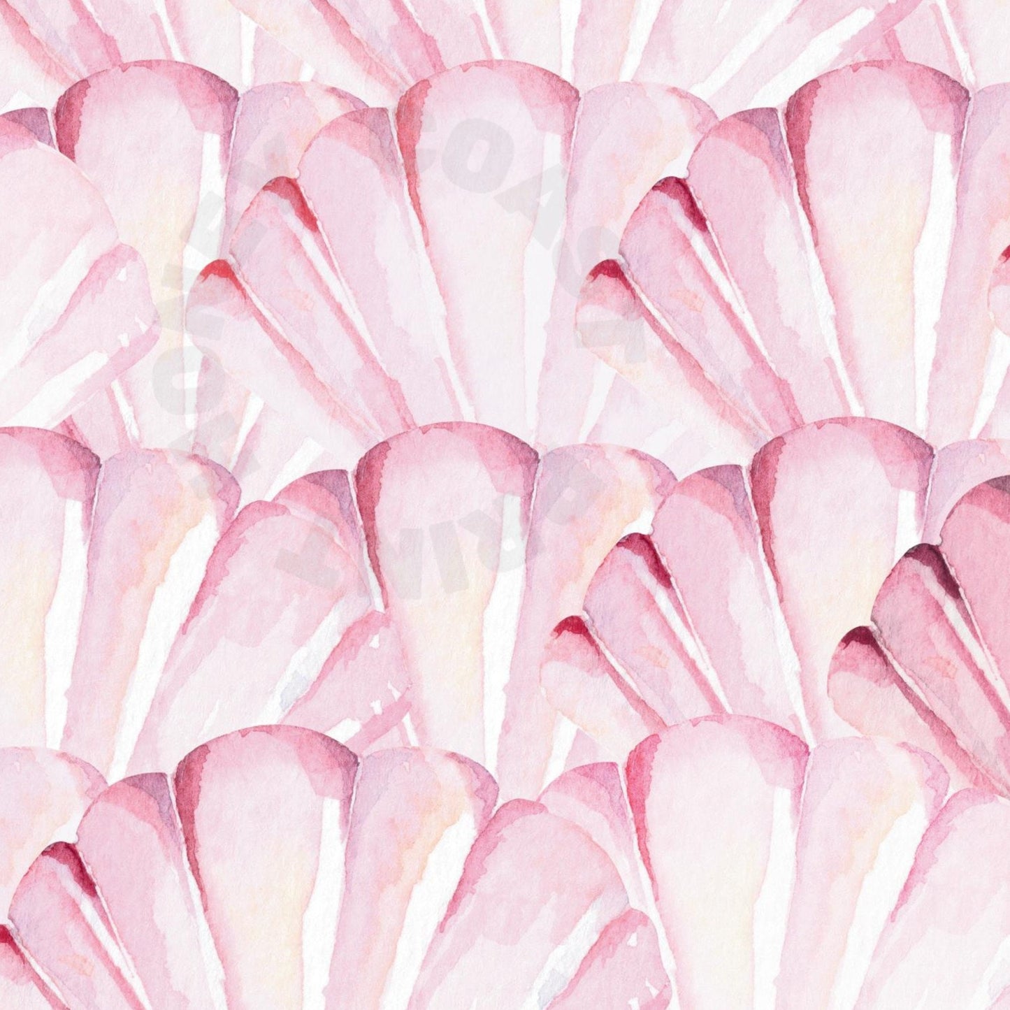 Landscape Pink Seashells Digital Prints
