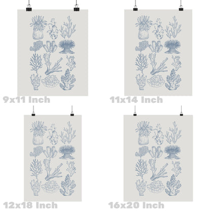 Coastal Blue Corals Poster