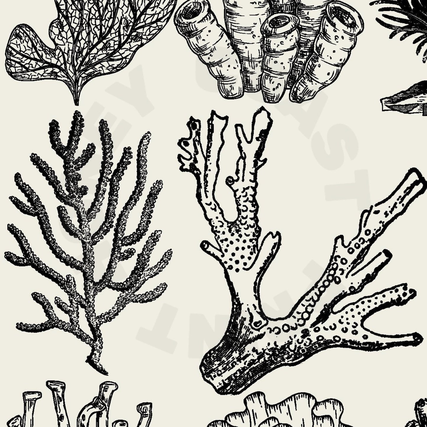 Monotone Corals Poster