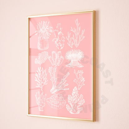 Pink Corals Digital Prints