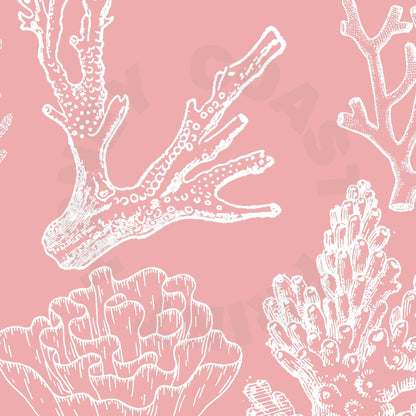 Pink Corals Digital Prints