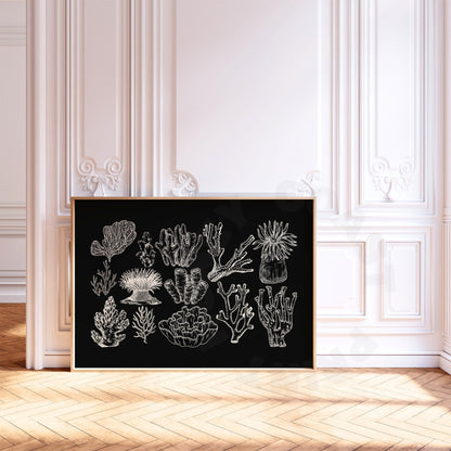 Landscape Monotone Corals Digital Prints