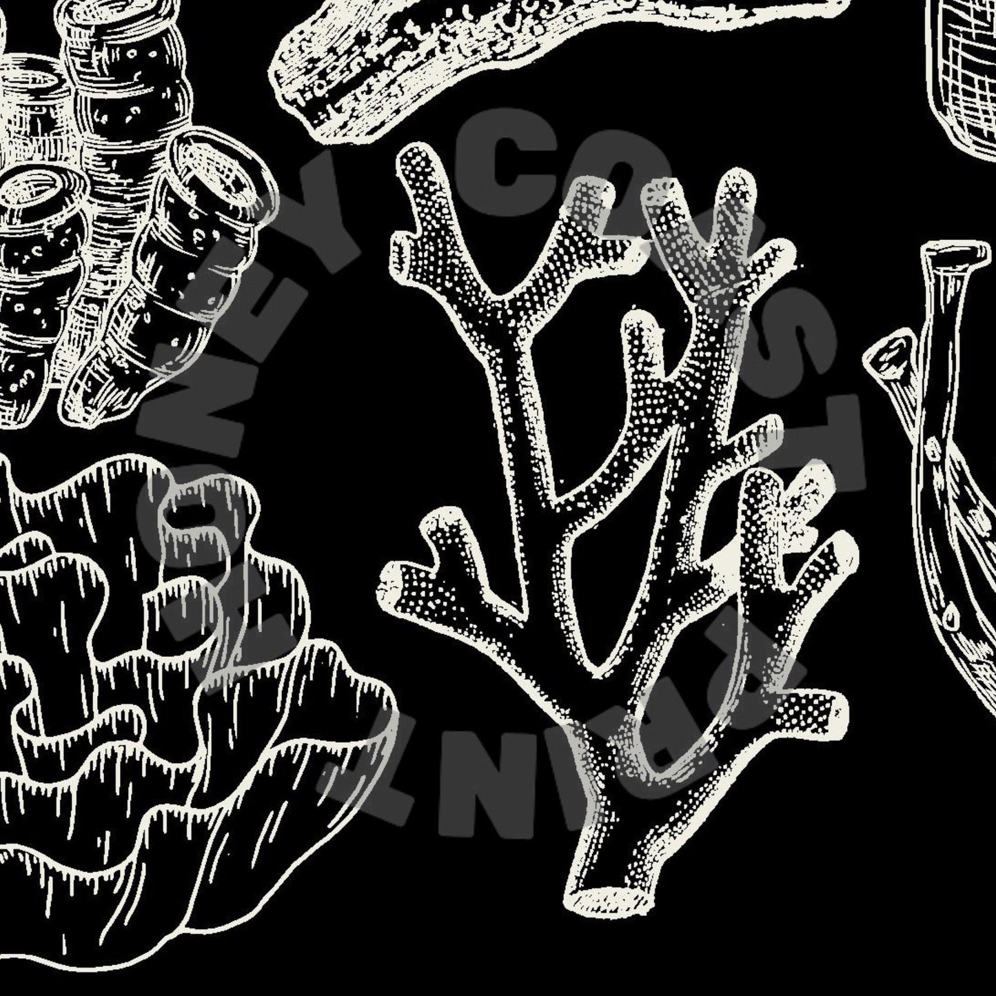 Landscape Monotone Corals Digital Prints