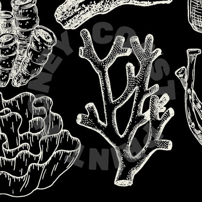 Landscape Monotone Corals Digital Prints