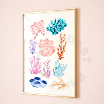 Corals Digital Prints