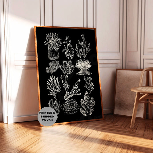 Monotone Corals Poster