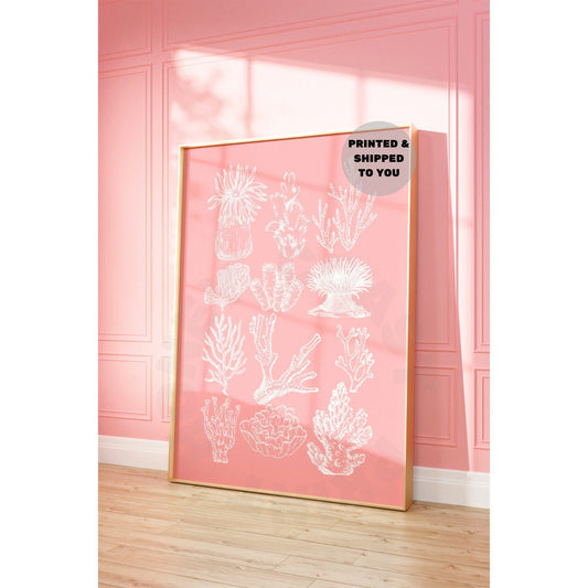 Pink Corals Poster