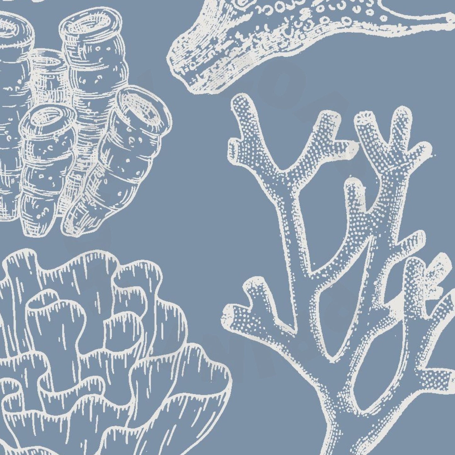 Landscape Coastal Blue Corals Poster