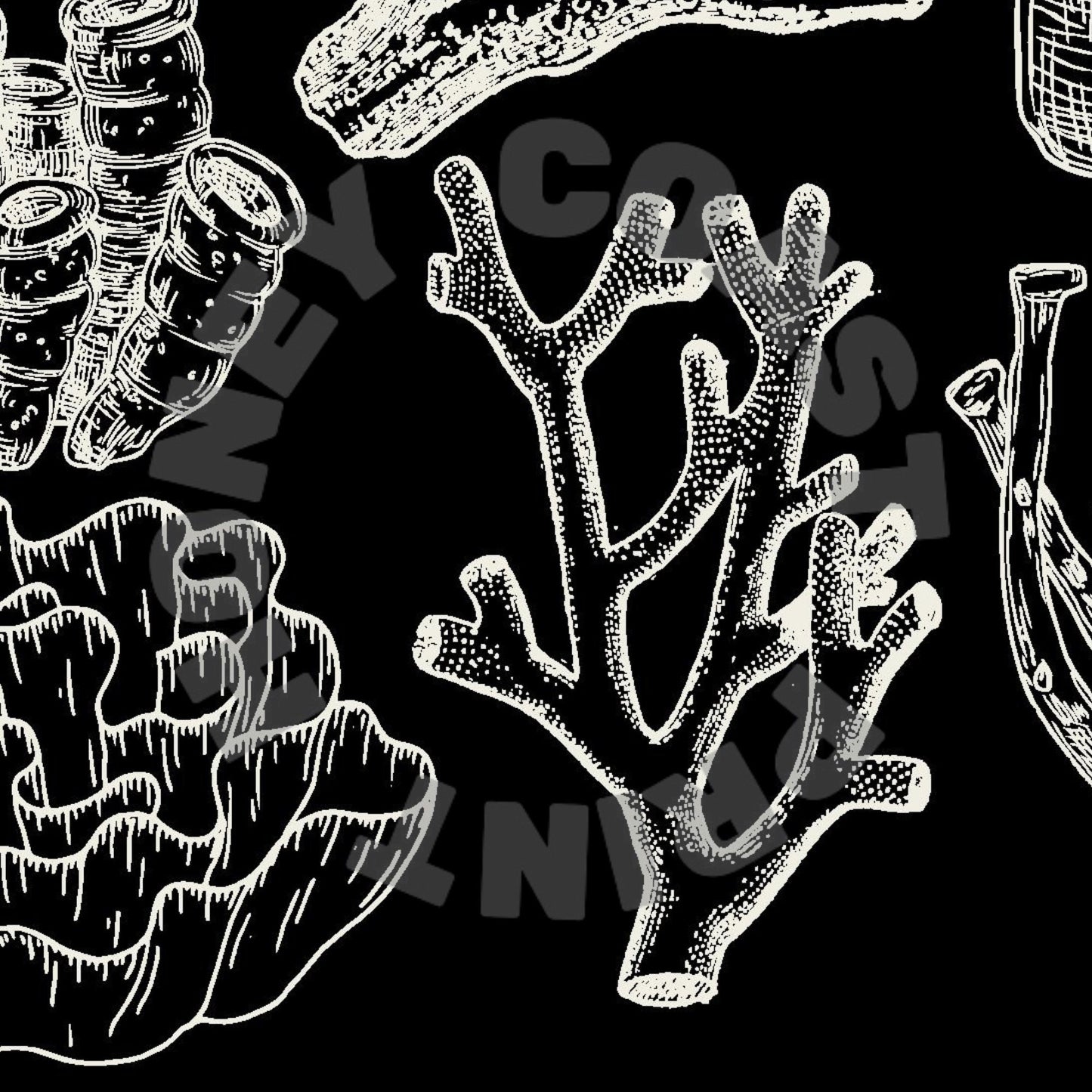 Landscape Monotone Corals Poster