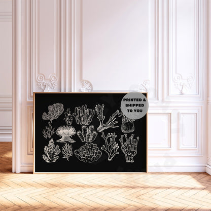 Landscape Monotone Corals Poster