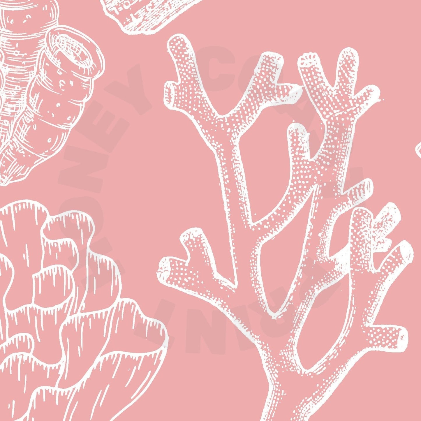 Landscape Pink Corals Poster