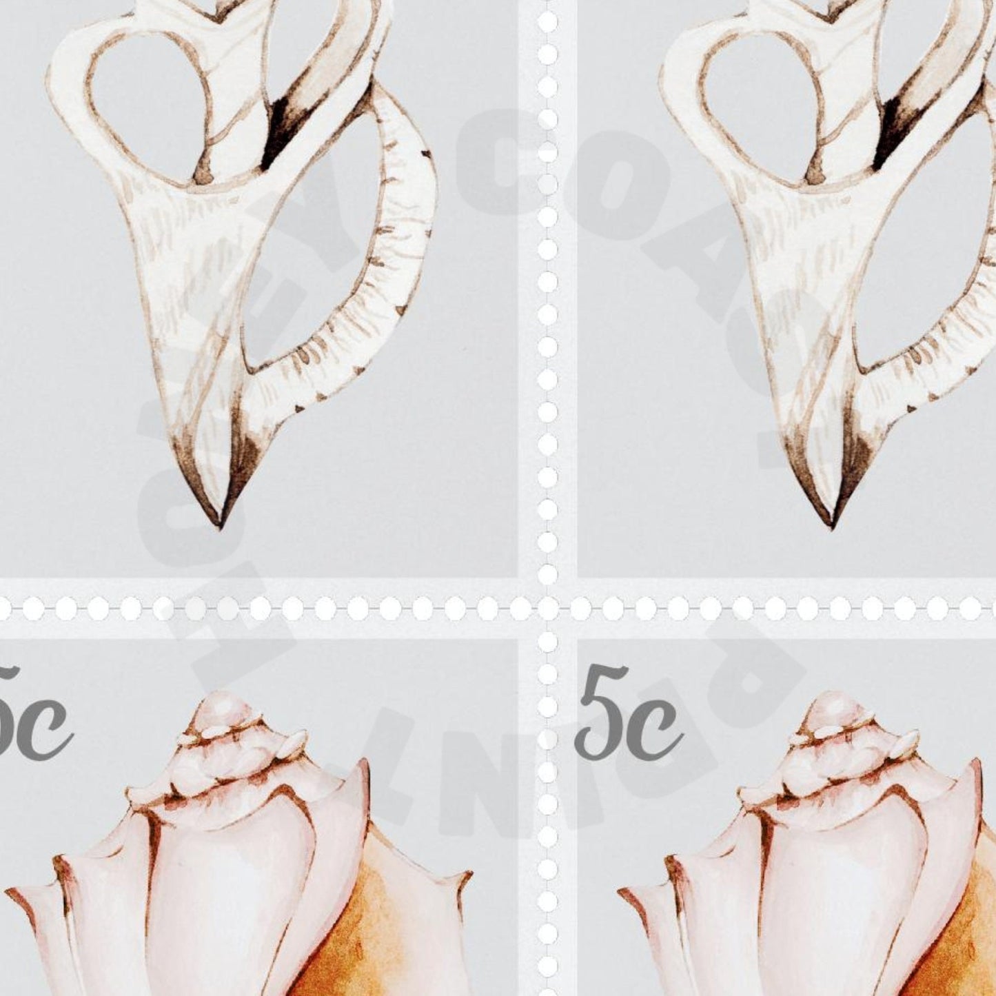 Coastal Seashells Stamps Digital Prints