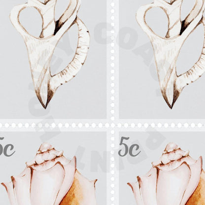 Coastal Seashells Stamps Poster