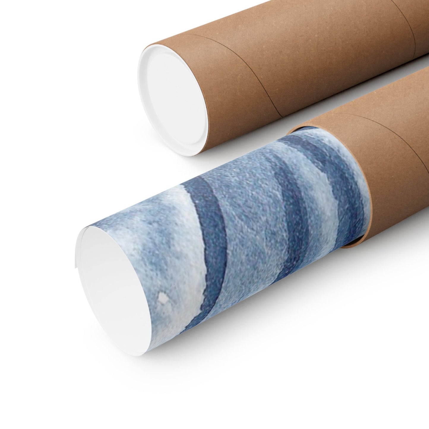 Landscape Navy Shells Poster