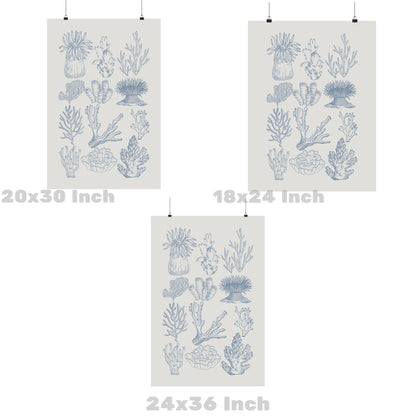 Coastal Blue Corals Poster