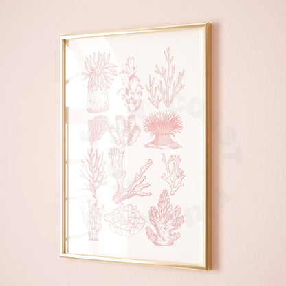 Pink Corals Poster