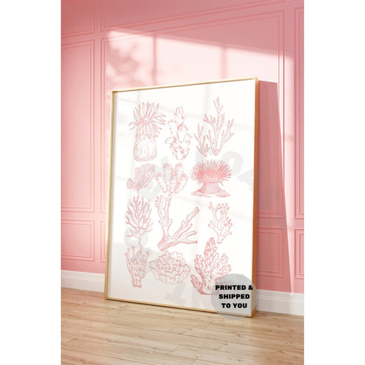 Pink Corals Poster