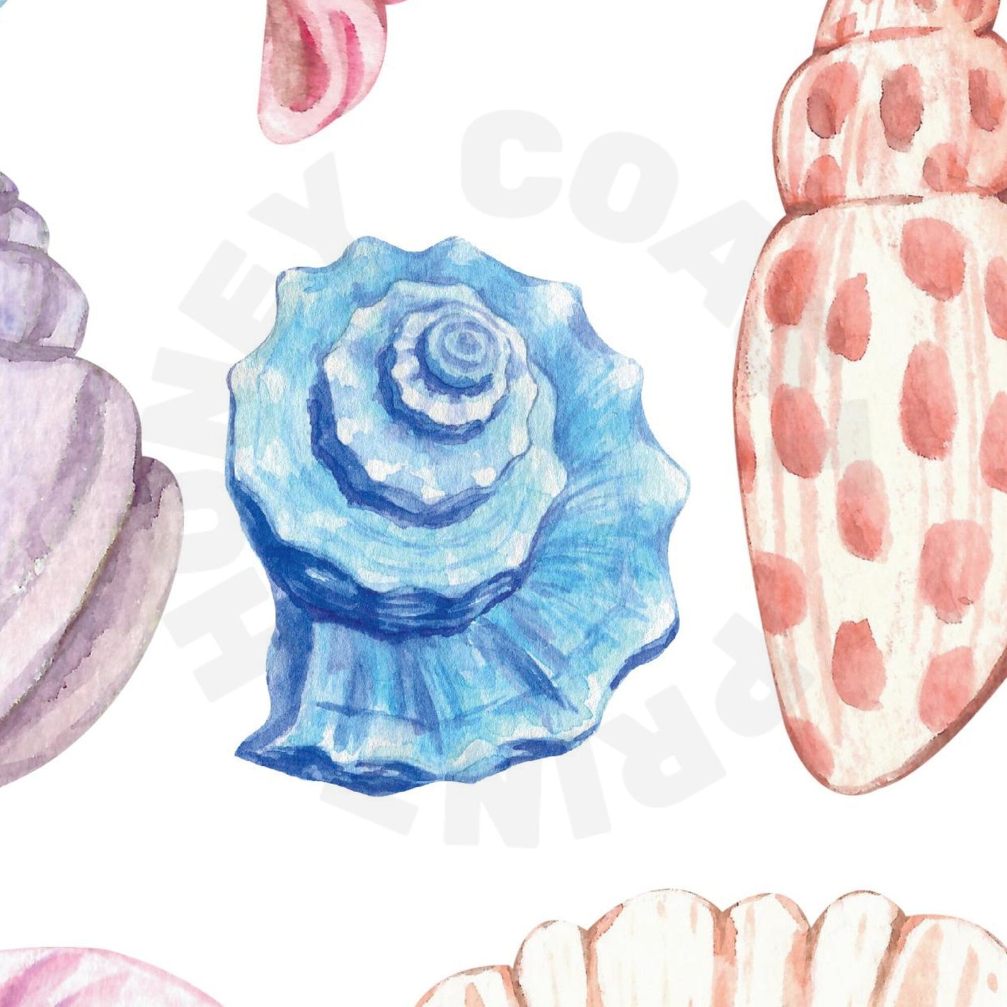 Pastel Seashells Digital Prints