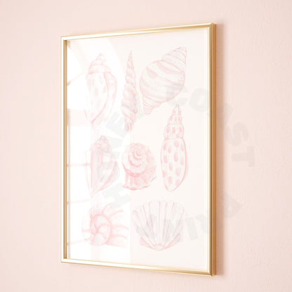 Pink Seashells Digital Prints