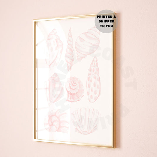 Pink Seashells Poster