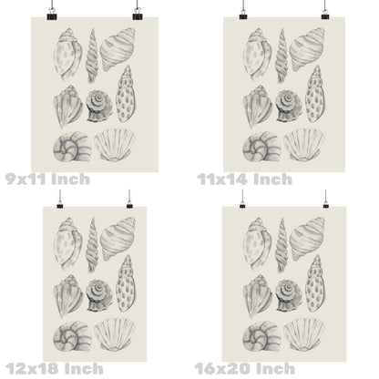 Monotone Watercolor Seashells Poster