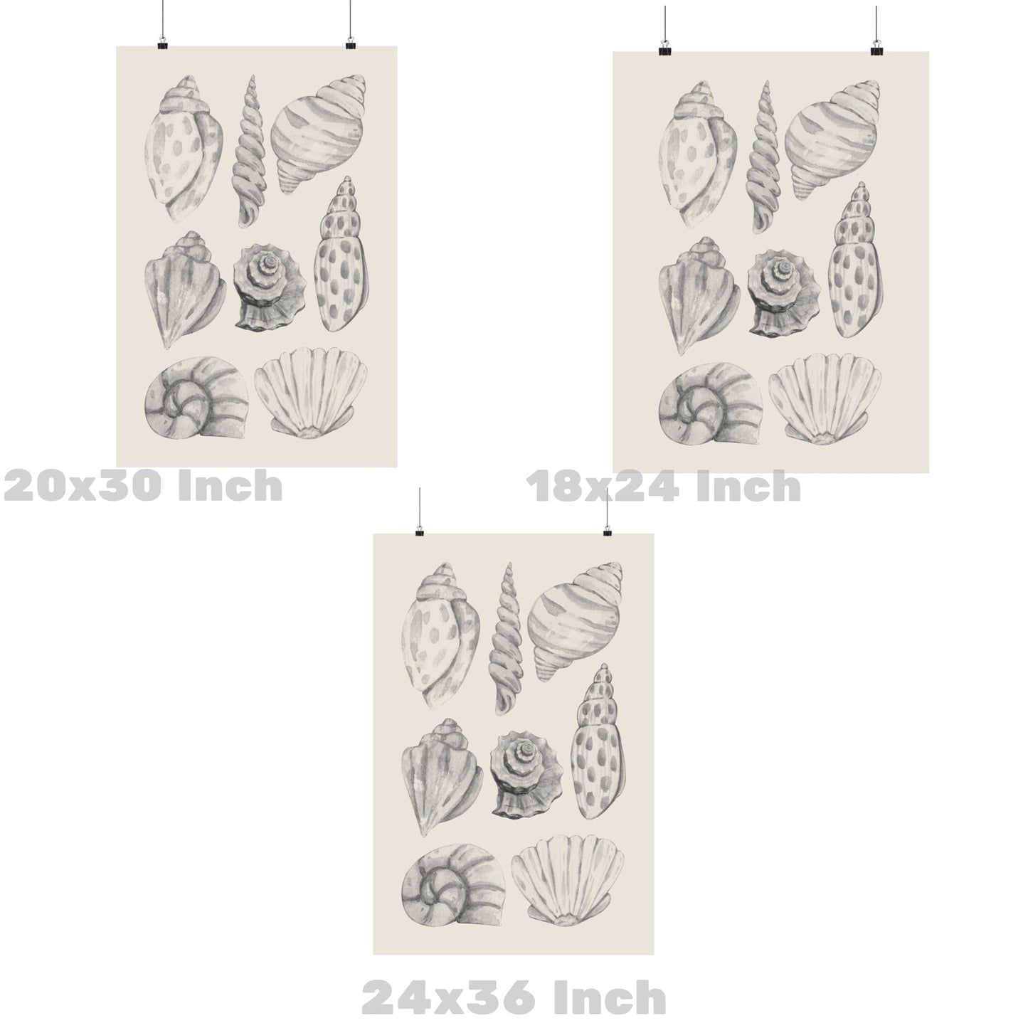 Monotone Watercolor Seashells Poster