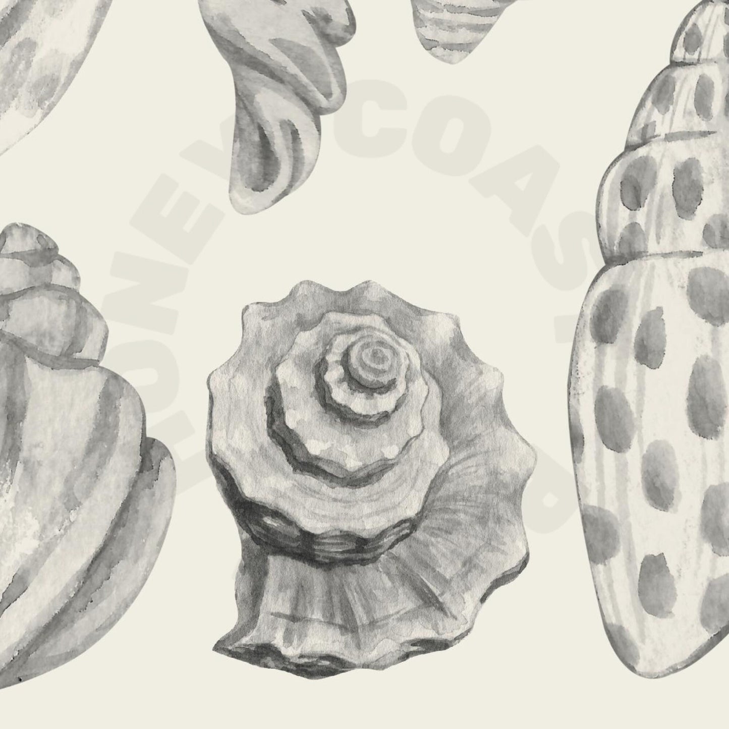 Monotone Watercolor Seashells Poster