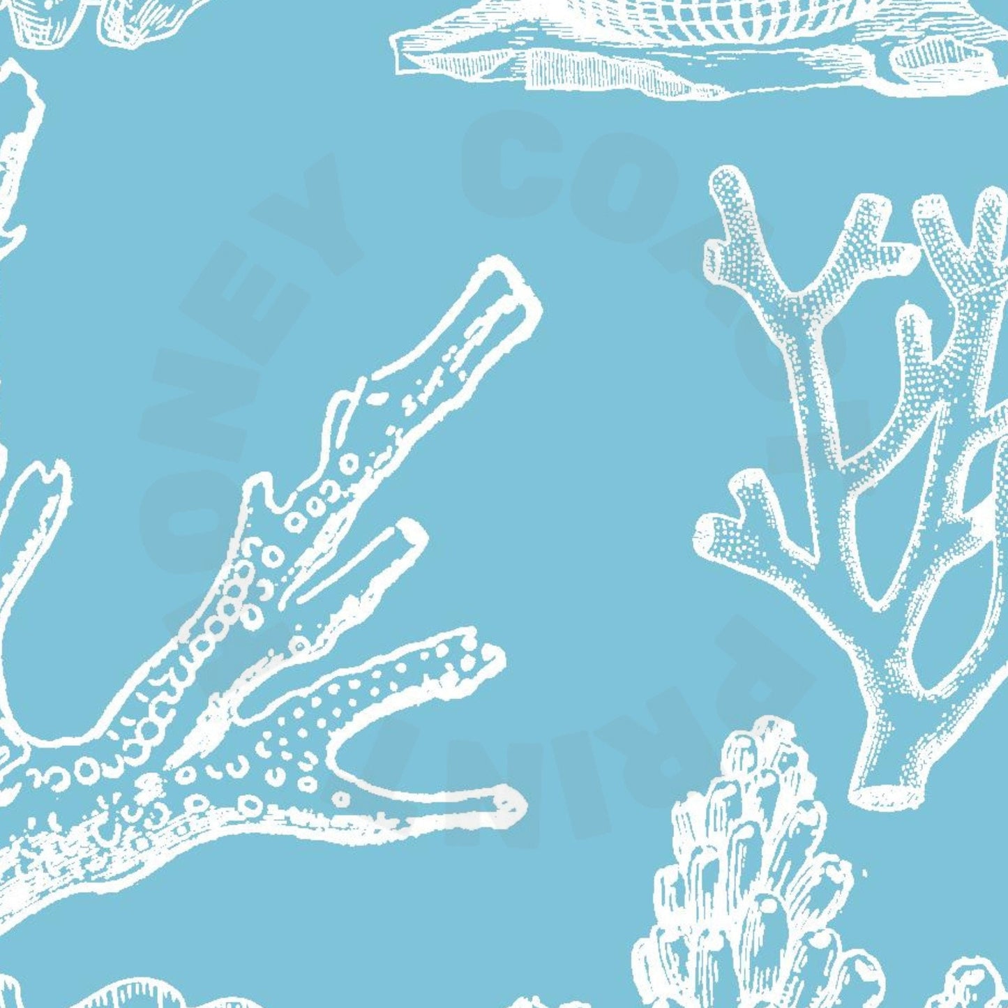 Surf Blue Corals Digital Prints