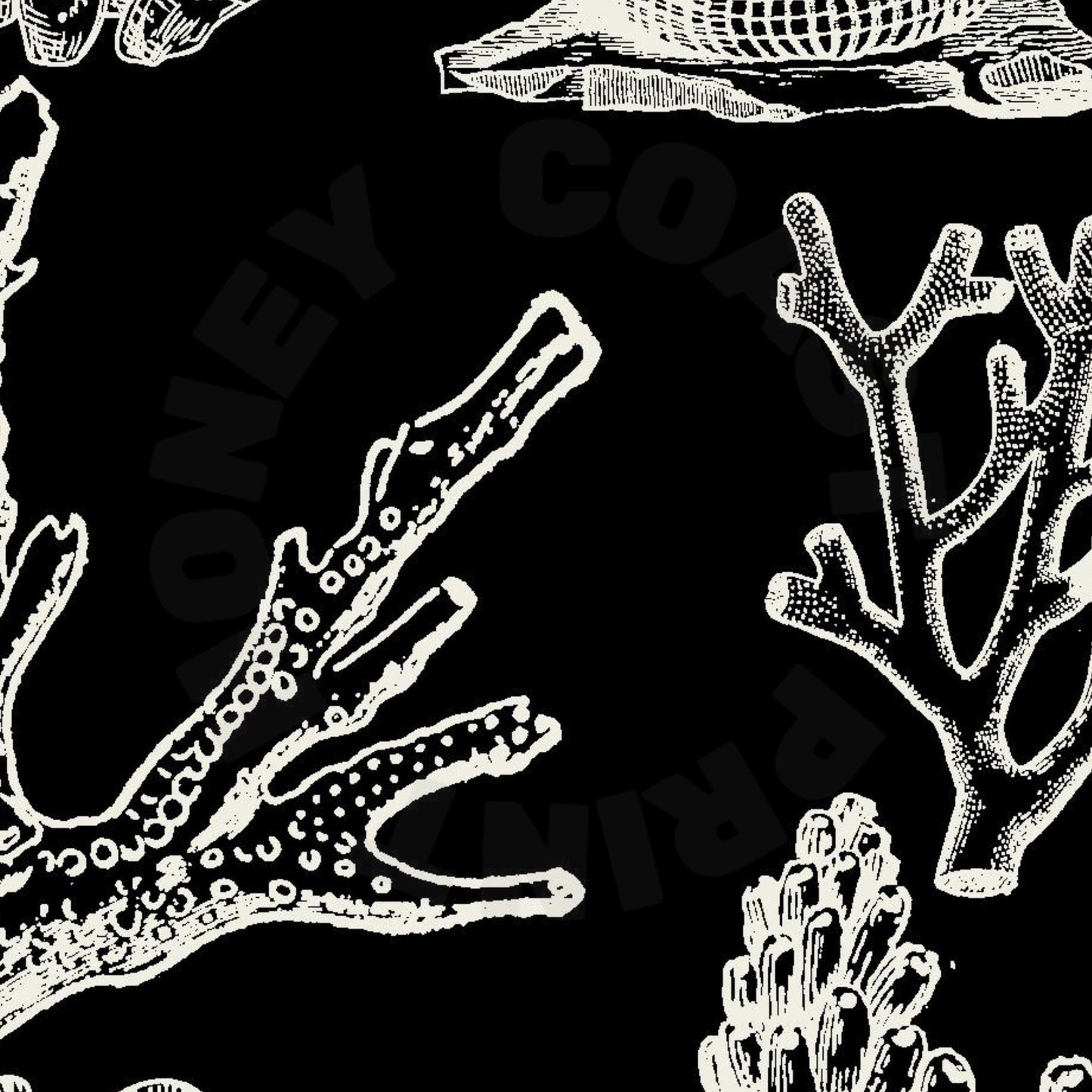 Monotone Corals Poster