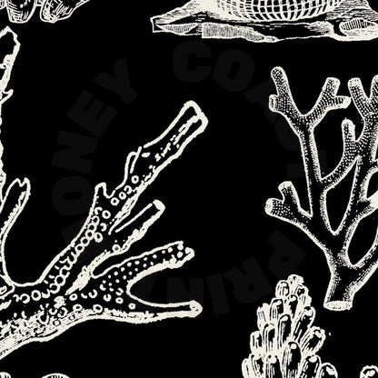 Monotone Corals Poster