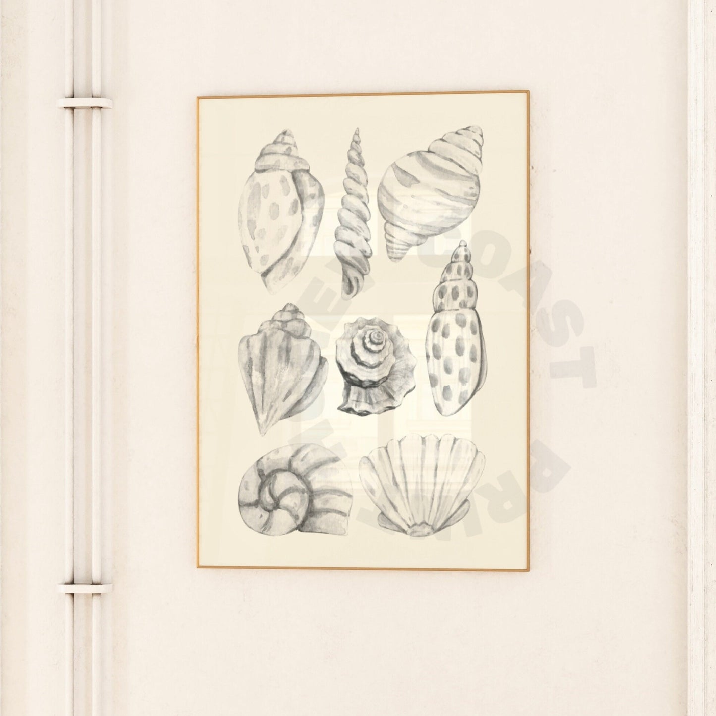 Monotone Watercolor Seashells Poster